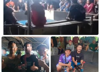 Lapor Pak Kapolda: Sabung Ayam Merajalela di Pasar 2 Sei Mencirim, Polsek Kutalimbaru Diduga Tutup Mata