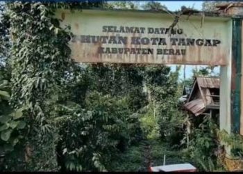 Hijau di Luar, Hancur di Dalam: Skandal Hutan Kota Tangap Berau