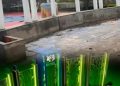 Disbudpar Berau Bangun Spot Foto Selfie di Taman Cendana dan Dermaga Sanggam, Dorong Daya Tarik Wisata Kota