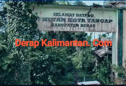 Kerusakan Sistematis Hutan Kota Tangap, Aparat Didesak Bongkar Aktor Utama