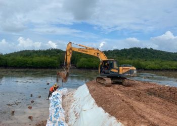 Prof. Dr. Sutan Nasomal Minta Presiden Prabowo Perintahkan Menteri, Polri, dan TNI Berantas Tambang di Singkep Lingga