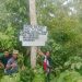 Masyarakat dan Koperasi Desa Merah Putih Dumaring Desak Pemkab Berau dan Kehutanan Beri Dukungan Serius