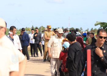 PSN Dorong Kemandirian Pangan dan Ekonomi Lokal di Papua Pegunungan