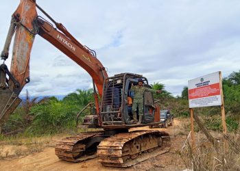 Penertiban Tambang dan Sawit Ilegal Diproyeksikan Tambah Rp142 Triliun Penerimaan Negara