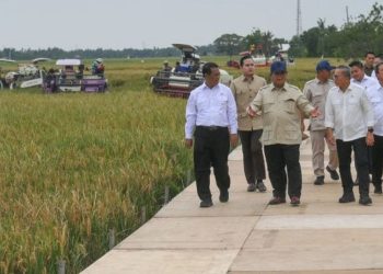 Indonesia Berhasil Capai Swasembada Pangan Lebih Cepat dari Target