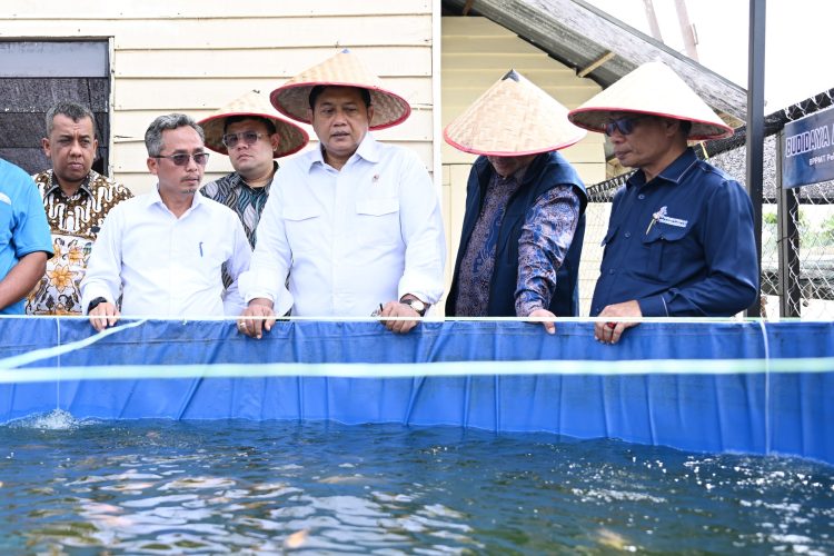 Kunjungi BPPMT Pekanbaru, Wamen Viva Yoga Tinjau Berbagai Demplot Pertanian dan Perikanan