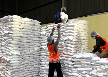 Serap 4 Juta Ton, Pemerintah Perkuat Fondasi Swasembada Pangan Berkelanjutan
