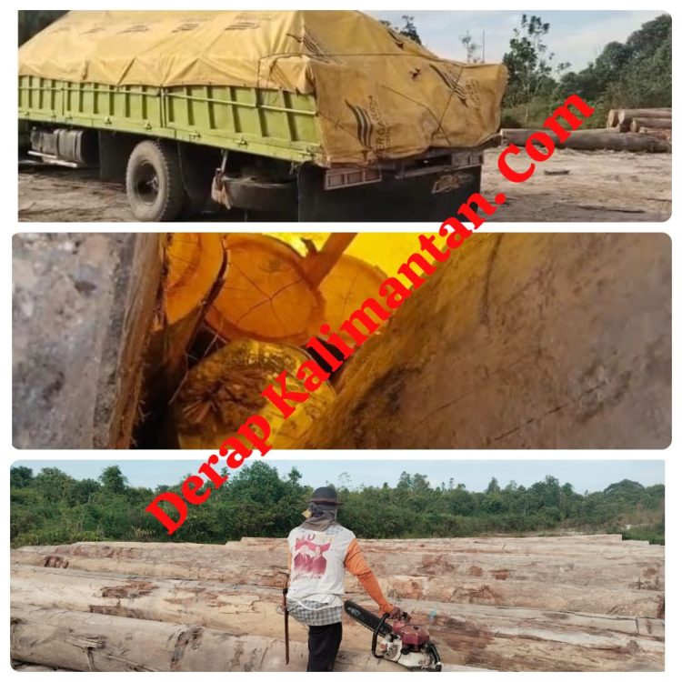 Dugaan Pembalakan Liar Mencuat di Kampung Usiran, Truk Fuso Bermuatan Kayu Log Diduga Tanpa Dokumen Resmi
