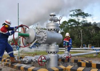 Presiden Prabowo Tegaskan Ketahanan Energi sebagai Prioritas Strategis Pembangunan Nasional