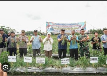 Bupati Genjot Program Unggulan Ketahanan Pangan, Deli Serdang Raih Prestasi Inflasi Terendah Per Januari 2026