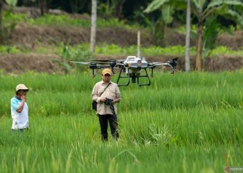 Teknologi Pertanian Berkelanjutan Dukung Penguatan Swasembada Pangan