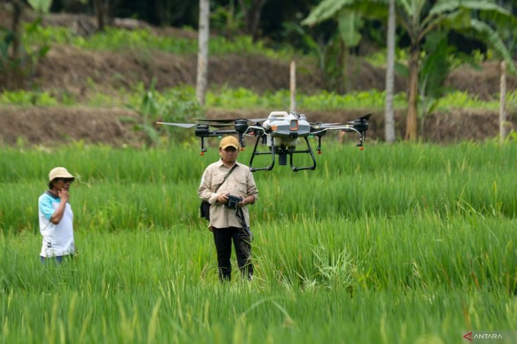 Teknologi Pertanian Berkelanjutan Dukung Penguatan Swasembada Pangan
