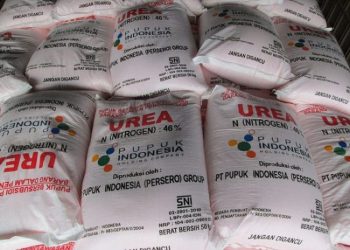 Pemerintah Pastikan Alokasi Pupuk Subsidi untuk Ketahanan Pangan Nasional