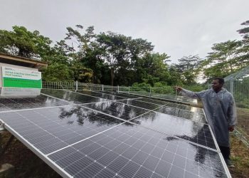 Pemerintah Percepat Program Energi Terbarukan di Papua