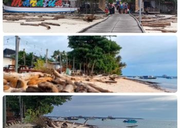 Kayu Gelondongan Mengotori Maratua, Citra Destinasi Wisata Kelas Dunia Dipertaruhkan