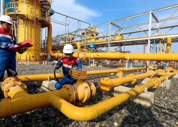 Ketahanan Energi Papua Digenjot lewat Penguatan SDM Hilir