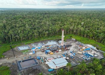 Pemerintah Prioritaskan Ketahanan Energi Papua demi Stabilitas Ekonomi