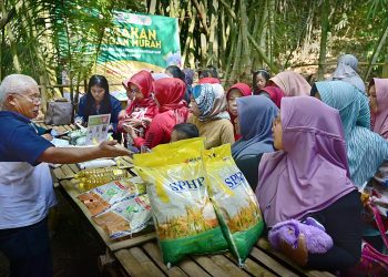 Bantuan Pangan Disiapkan, Beras dan Minyak Goreng Disalurkan Jelang Ramadan