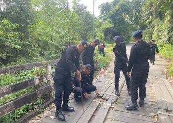 Gotong Royong Brimob dan Warga Revitalisasi Jembatan Sungai Lungau, Aksi Humanis di Pedalaman Kutai Barat