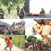 Warga Papua Diburu Senjata, Anak 7 Tahun Tertembak Dikepala Jasadnya Hilang Usai Operasi Militer di Nduga