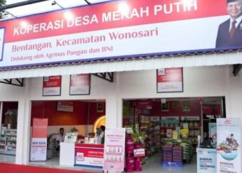 Koperasi Desa Merah Putih Perkuat Ekonomi Keluarga, Produk Desa Tembus Pasar Internasional