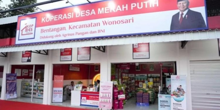 Koperasi Desa Merah Putih Perkuat Ekonomi Keluarga, Produk Desa Tembus Pasar Internasional