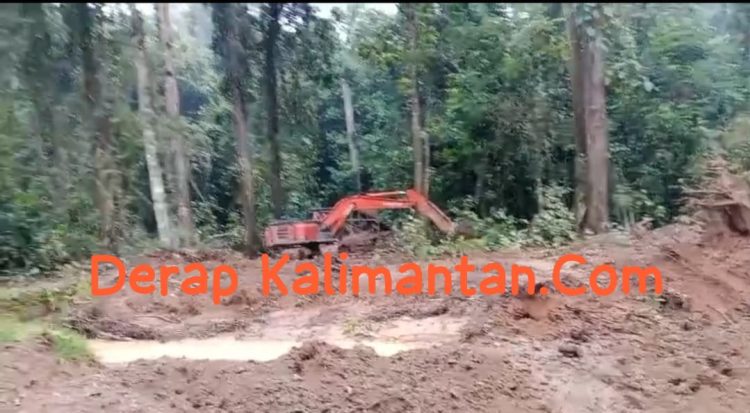 Tambang Emas Ilegal di Paser Diduga Cemari Sungai, Warga Minta Aparat Segera Bertindak