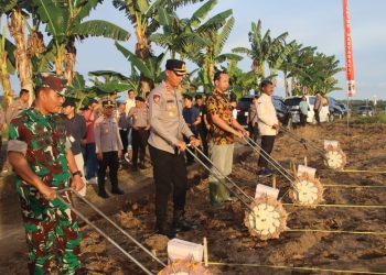 Perkuat Produksi Jagung Nasional, Kapolres PPU Turun Langsung ke Lahan Petani
