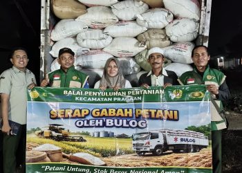 BPP Pragaan dan Bulog Serap 5,3 Ton Gabah, Petani Dapat Kepastian Harga
