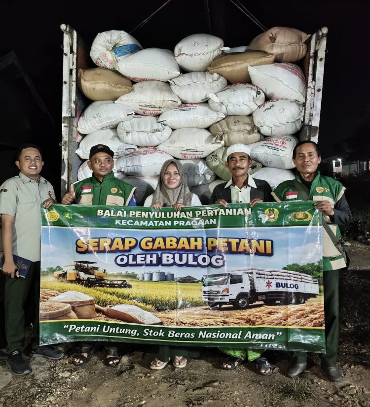 BPP Pragaan dan Bulog Serap 5,3 Ton Gabah, Petani Dapat Kepastian Harga