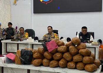Polres Madina Rilis 11 Kasus Narkotika Selama Februari 2026, 15 Tersangka Diamankan