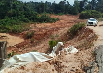 Jalan Vital Tiga Kampung di Kecamatan Sambaliung Terancam Putus Akibat Longsor, Warga Desak Penanganan Cepat