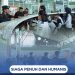Siaga Penuh dan Humanis, Gegana Brimob Sumut Amankan Arus Balik di Terminal Amplas