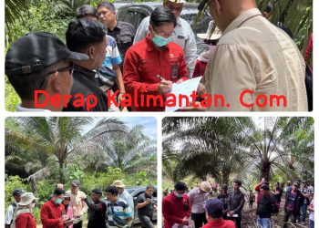 Sidang Pemeriksaan Setempat PN Tanjung Redeb di Batu Putih Berjalan Lancar, Sengketa Lahan Juhari vs Willyadi Masuki Tahap Krusial