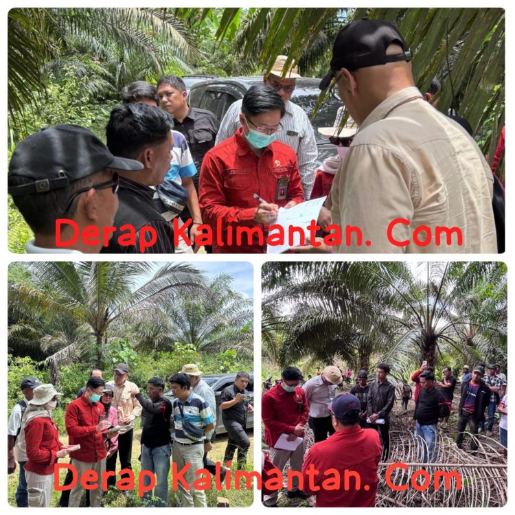 Sidang Pemeriksaan Setempat PN Tanjung Redeb di Batu Putih Berjalan Lancar, Sengketa Lahan Juhari vs Willyadi Masuki Tahap Krusial