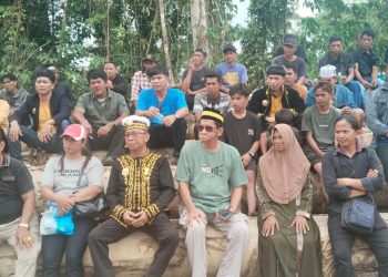 Dua Kesultanan Desak Stop Penebangan Hutan, Desak Hentikan Aktivitas TRH