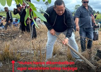 Rapidin Simbolon: Hutan Harus Dikembalikan, Agar Ekosistem Tetap Terjaga