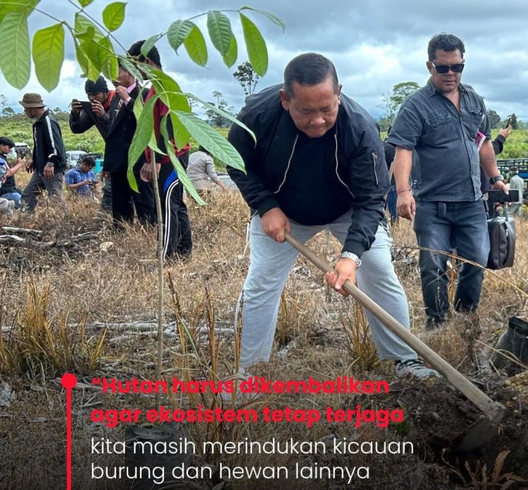 Rapidin Simbolon: Hutan Harus Dikembalikan, Agar Ekosistem Tetap Terjaga
