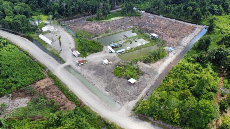 Pembersihan Kolam Dayung Mile 21 Dimulai, Kampung Nawaripi Siapkan Berbagai Lomba Rakyat