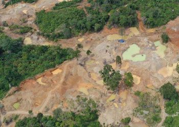 WALHI SUMUT Dukung Aparat Penegak Hukum Tindak Tegas Aktivitas Tambang Ilegal.