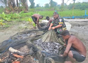 Wujudkan Ketahanan Pangan, Babinterau Lanud YKU Bersama Warga lokal Panen Ikan Lele dan Budidaya Peternakan Bebek