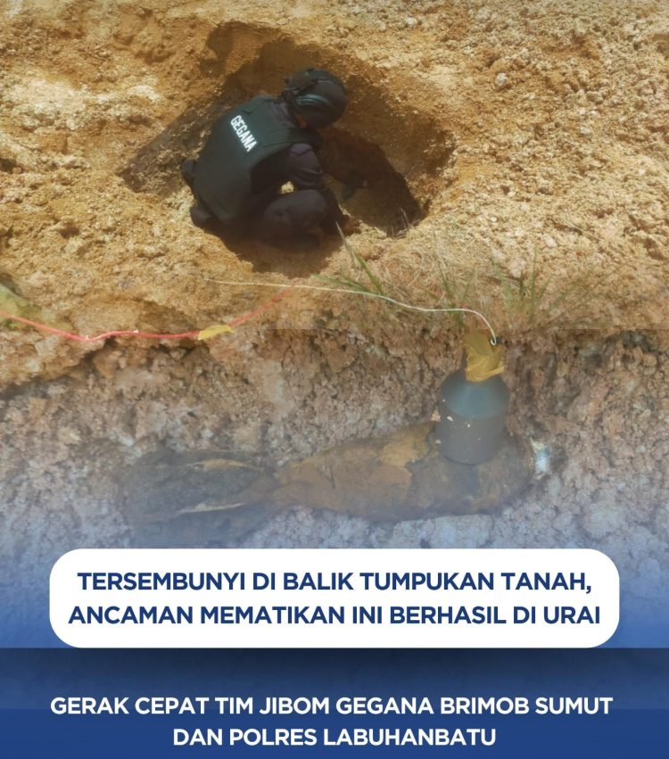 Tersembunyi di Balik Tumpukan Tanah, Ancaman Mematikan Ini Berhasil di Urai
