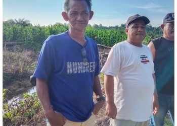 Didukung Pemerintah Kampung, Koperasi Merah Putih Dumaring Kembangkan Sektor Pangan dan Perkebunan