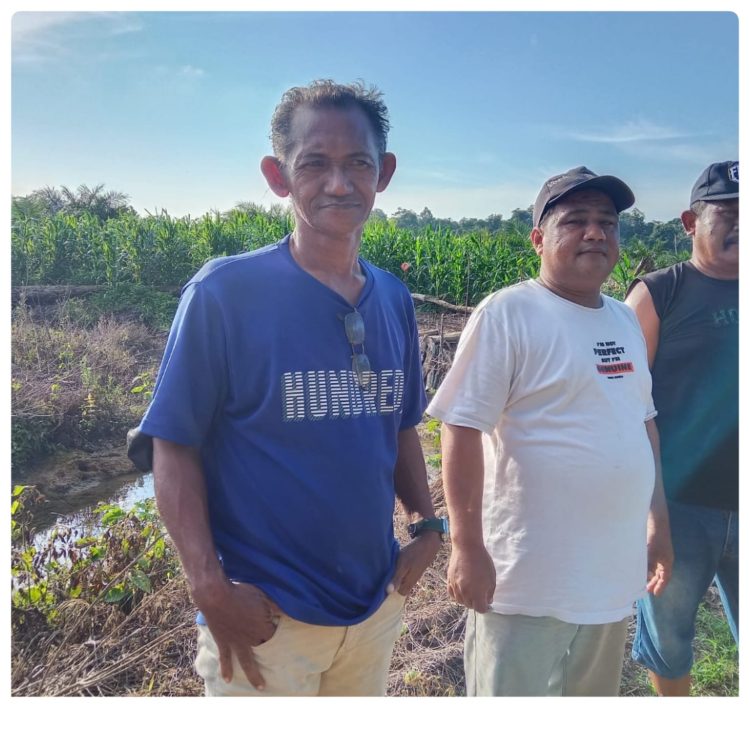 Didukung Pemerintah Kampung, Koperasi Merah Putih Dumaring Kembangkan Sektor Pangan dan Perkebunan