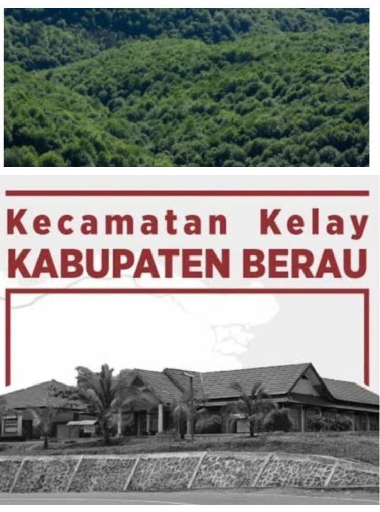 Ada Apa di Balik Izin Vakum 10 Tahun? Warga Kelay Curiga Mafia Lahan Bermain