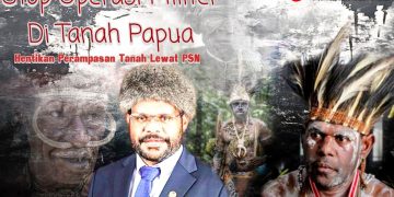 Anggota DPD Desak Setop Operasi Militer di Papua, Simon Balagaize: “Hentikan Juga Perampasan Tanah Lewat PSN”