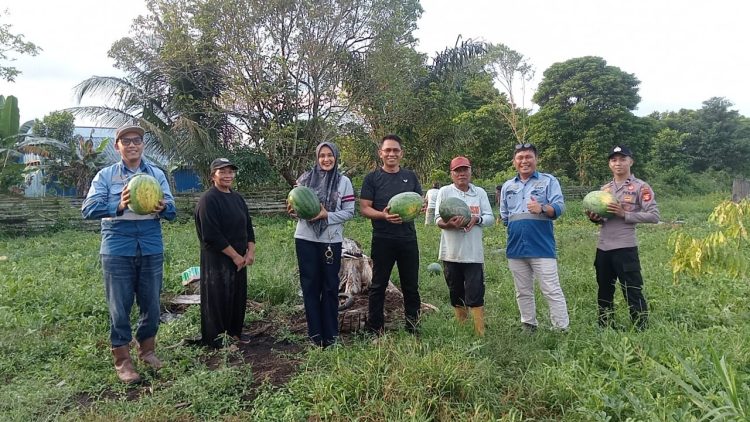 Harmoni Kebersamaan Polri dan Petani, Menumbuhkan Asa Ketahanan Pangan di Bengalon