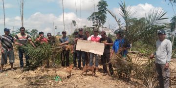 AKPERSI Kaltim Soroti Negara Absen di Balik Penggusuran Lahan Rakyat