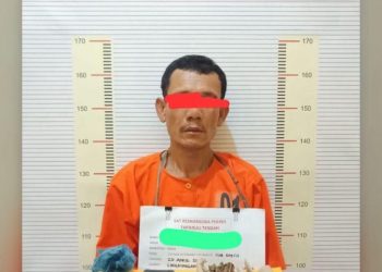 “Polres Tapteng Ringkus ‘Kongo’, Pengedar Paket Lengkap Ganja dan Sabu di Lubuk Tukko