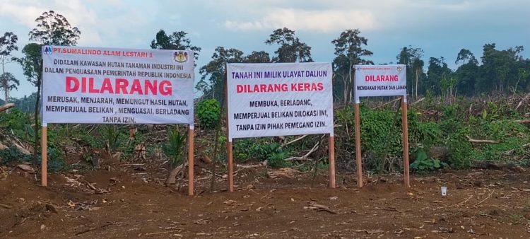 BREAKING NEWS: Perlawanan dari Pesisir! Warga Dumaring Tegas Tolak RKT PT Sumalindo Alam Lestari 1 Tahun 2025.